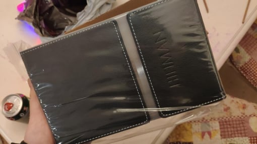 HIFIMAN TWS600真无线蓝牙耳机评测