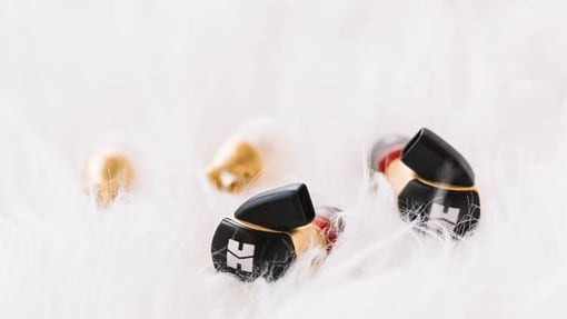 HIFIMAN 的拓扑振膜情侣款：RE2000和RE800 动圈耳塞